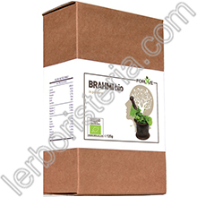 Brahmi Polvere Bio - Bacopa