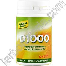 D 1000