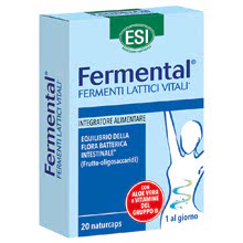 Fermental Max Naturcaps