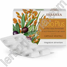 Rolo Plus
