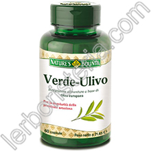 Verde - Ulivo