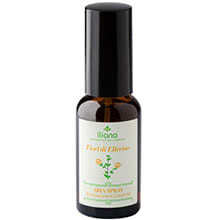 Fiori di Elicriso Aria Spray Meditazione e Creativit