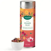Infuso Pensieri Felici Silver Tin